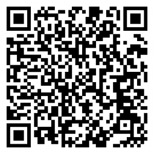 Pizza Vİlla QR Kod